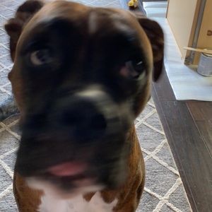 Meet your Posher, Lyana